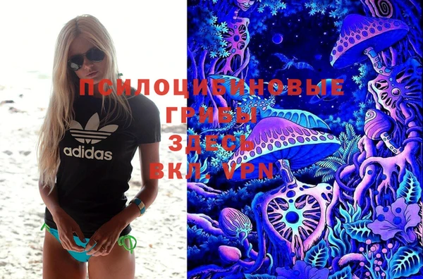альфа пвп Богородицк