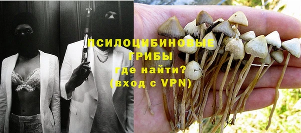 СК Богданович