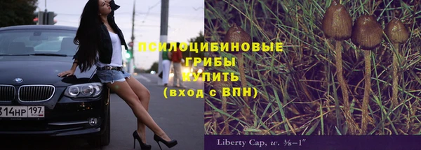 альфа пвп Богородицк